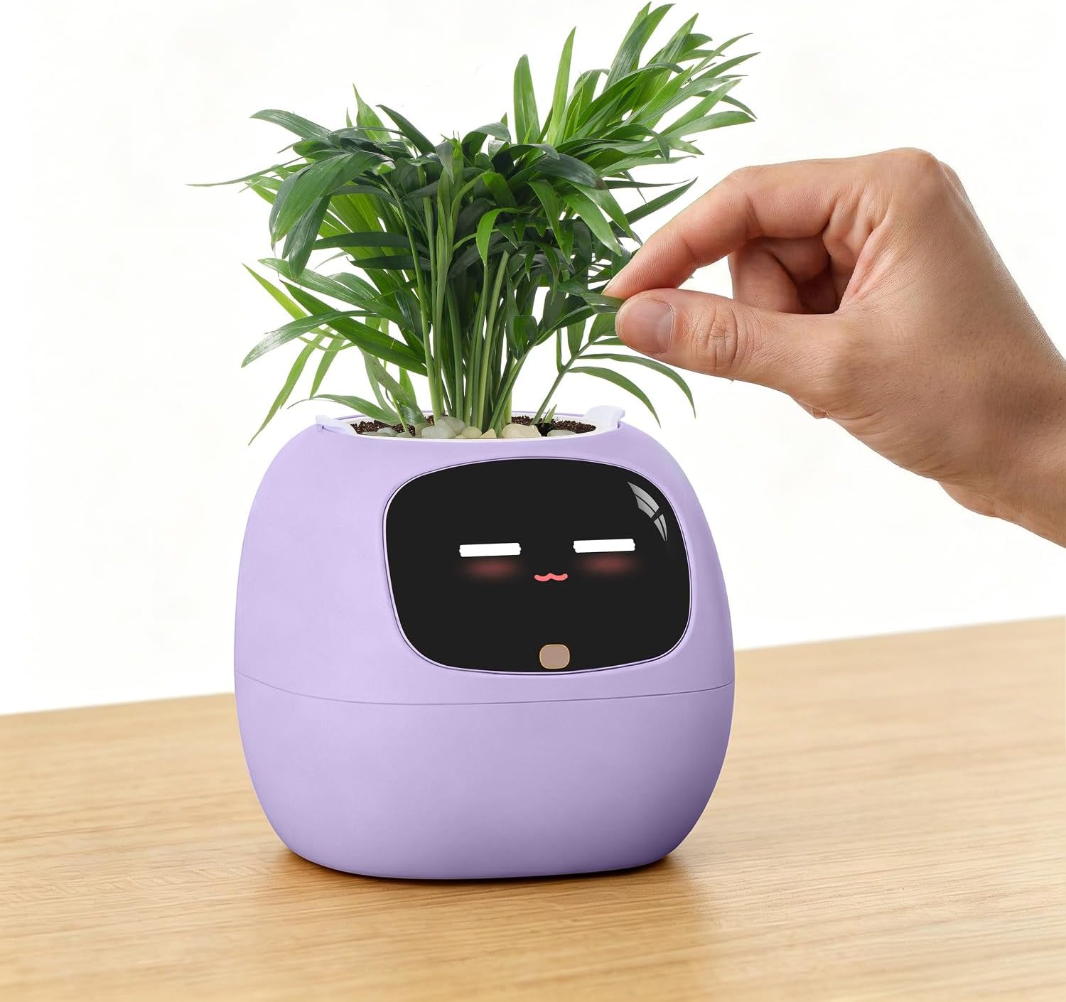 Ivy Smart Desk Buddy